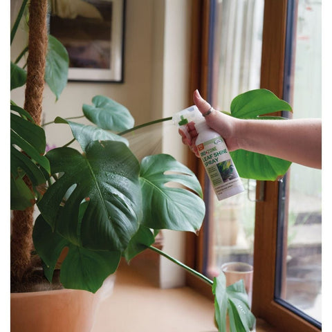 Smart Garden Leaf Shine Spray