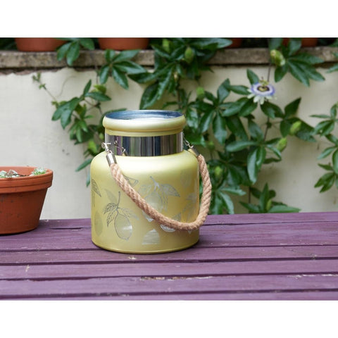 Smart Garden Lemon