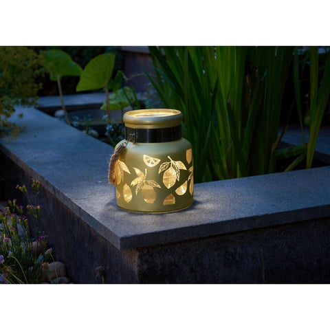 Smart Garden Lemon
