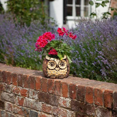Smart Garden Planters & Pots Smart Garden Owl Planter