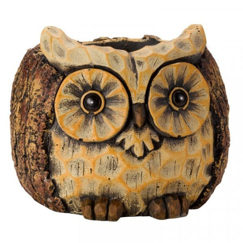 Smart Garden Planters & Pots Smart Garden Owl Planter