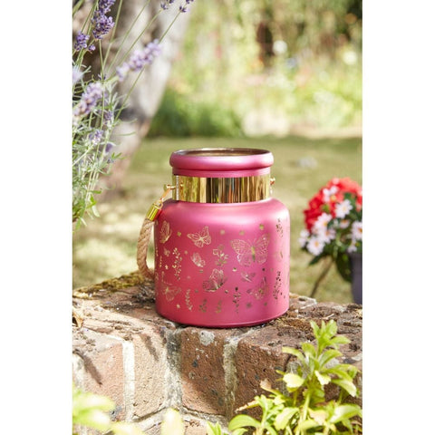 Smart Garden Papillon Lantern