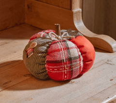 Smart Garden Autumn Decor Smart Garden PatchPumpkin Large