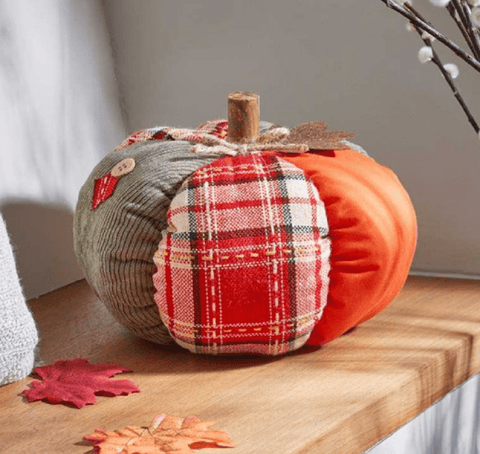 Smart Garden Autumn Decor Smart Garden PatchPumpkin XL