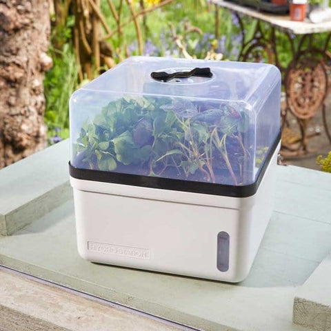 Smart Garden Propagator Unheated Smart Garden Perfect Propagator no sku