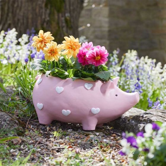 Smart Garden Planters & Pots Smart Garden Piggy Planter