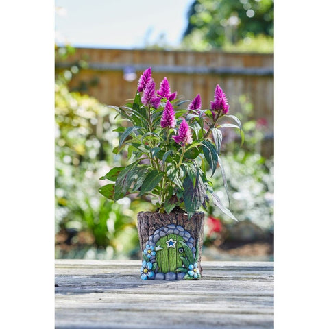 Smart Garden Pixie Pots 10cm