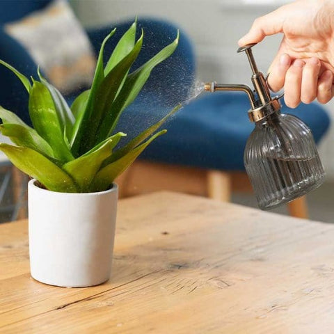 Smart Garden Propagator Unheated Smart Garden Plant Mister