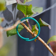 Smart Garden Plant Rings Smart Garden Plant Rings Coated 50pk