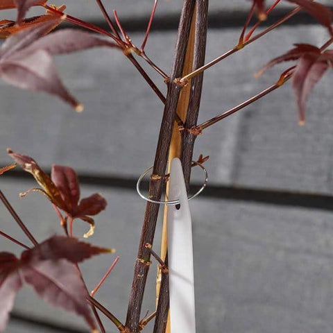 Smart Garden Plant Rings Smart Garden Plant Rings Galvanised 100pk