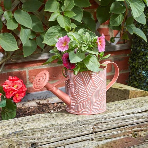 Smart Garden Hanging Pots Smart Garden PlanterCan - Fern - Terracotta