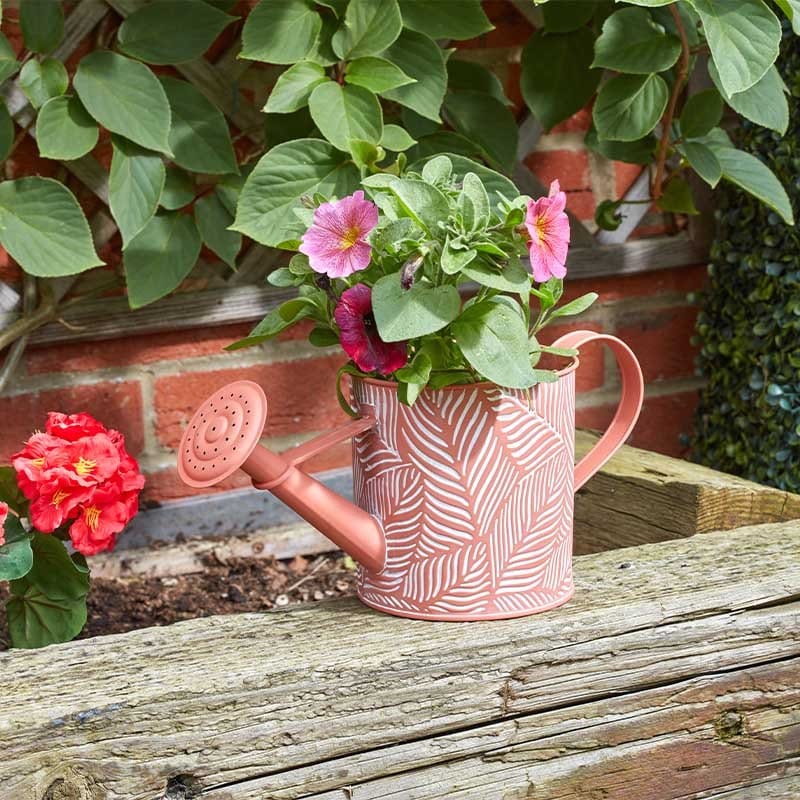 Smart Garden Planters Smart Garden PlanterCan - Fern - Terracotta
