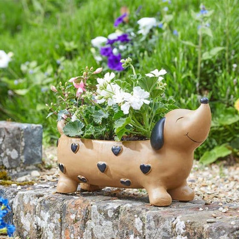 Smart Garden Planters & Pots Smart Garden Pooch Heart Planter