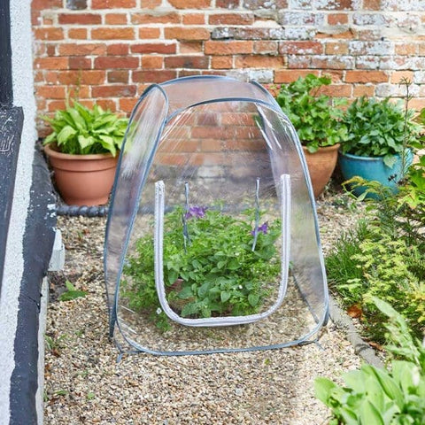 Smart Garden Growhouse Smart Garden Pop-Up GroZone - 50cm x 50cm