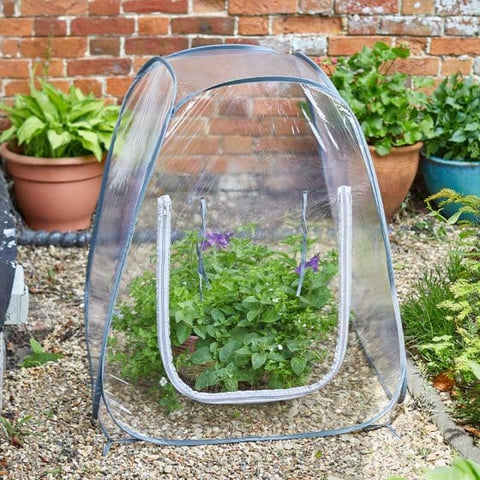 Smart Garden Greenhouse Growhouse Smart Garden Pop up GroZone Growhouse