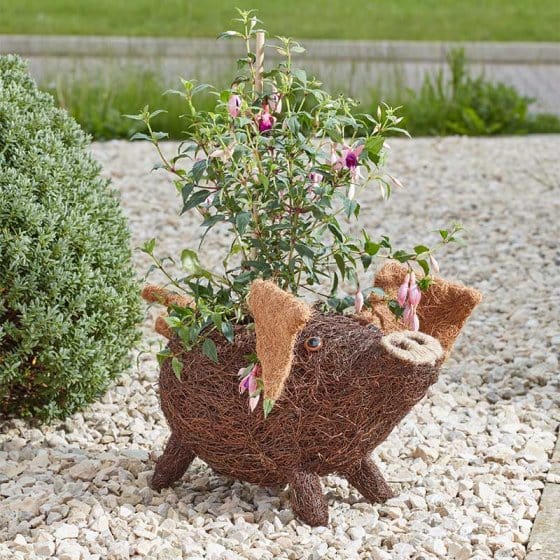 Smart Garden Planters & Pots Smart Garden Porky Pig Planter
