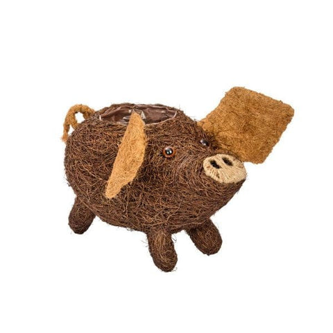 Smart Garden Planters & Pots Smart Garden Porky Pig Planter