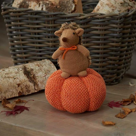 Smart Garden Autumn Decor Smart Garden Pumpkin Characters Hog-Kin