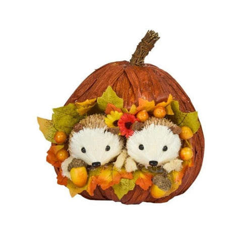 Smart Garden Autumn Decor Smart Garden Pumpkin Pals - Hedgehogs