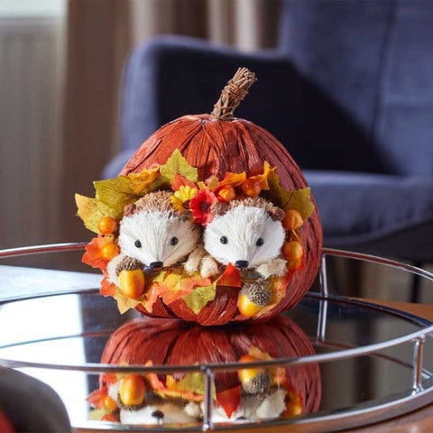 Smart Garden Autumn Decor Smart Garden Pumpkin Pals - Hedgehogs