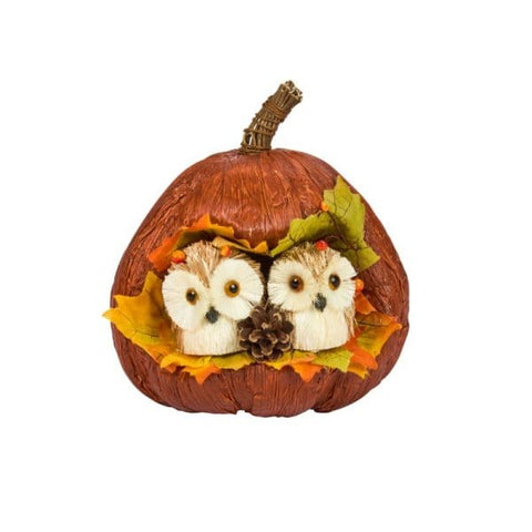 Smart Garden Autumn Decor Smart Garden Pumpkin Pals - Owls