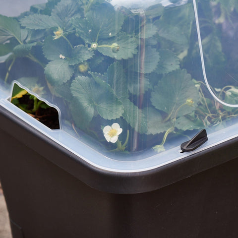 Smart Garden Raised Patio Planter