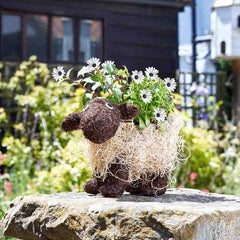 Smart Garden Planters & Pots Smart Garden Shelley Sheep Planter