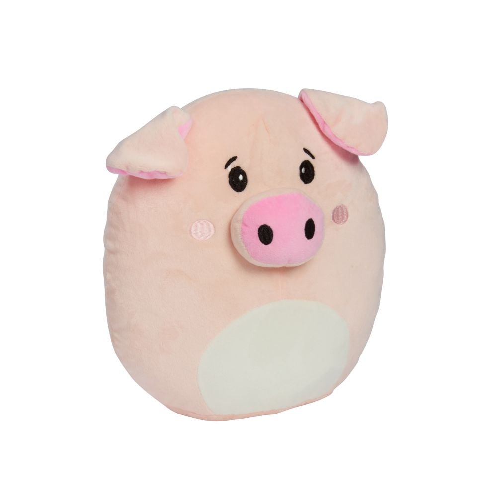 Smart Garden Squeezy Pig