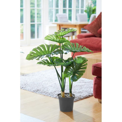Smart Garden Swiss Cheese