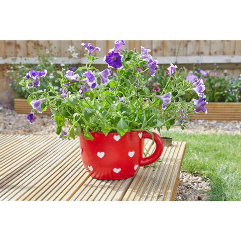 Smart Garden Teacup Heart Planter