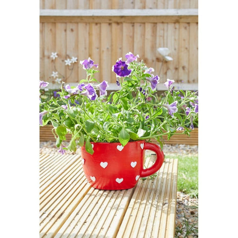 Smart Garden Teacup Heart Planter
