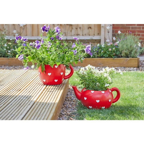 Smart Garden Teacup Heart Planter
