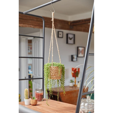 Smart Garden The Weaver Basket - 6"