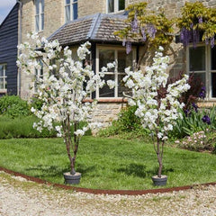 Smart Garden Faux Topiary Trees Smart Garden White Cherry Tree 170cm