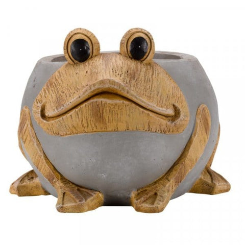 Smart Garden Planters & Pots Smart Garden Woodstone Frog Planter