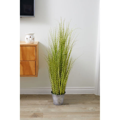 Smart Garden Zebra Grass