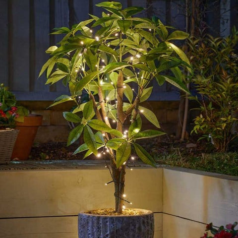 Smart Solar String Lights Smart Solar 200 String Lights Warm White