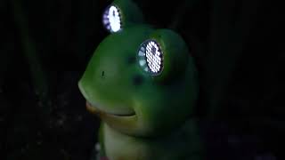 Smart Solar Decorative Lighting Smart Solar Blinkin' Frog