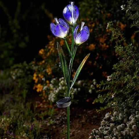 Smart Solar Decorative Lighting Smart Solar Crocus