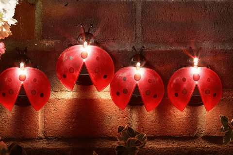 Smart Solar Decorative Lighting Smart Solar Lady Bug Light 4 pack