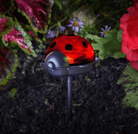 Smart Solar Stake Lights Smart Solar Ladybird Stake Light 6 pack