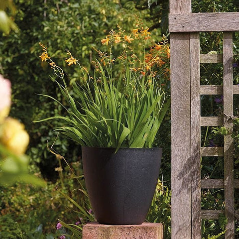 Stewart Garden Pots & Planters Stewart 40cm Basalt Low Round Planter