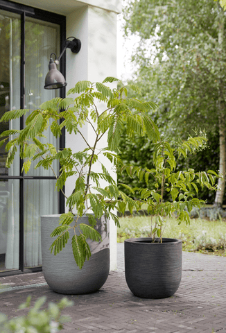 Stewart Garden Planters & Pots Stewarts Arava Planter Alpine Grey - 44cm