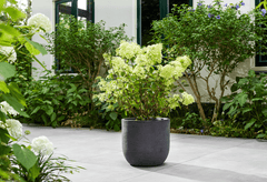 Stewart Garden Planters & Pots Stewarts Arava Planter Millstone Grey - 44cm