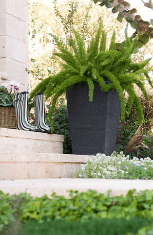 Stewart Garden Planters & Pots Stewarts Rattan Planter - Large