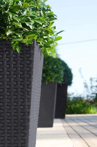 Stewart Garden Planters & Pots Stewarts Rattan Planter - Large