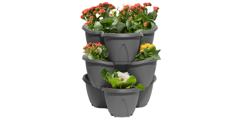 Stewart Garden Planters & Pots Stewarts Strawberry Planter 3 Pack Anthracite