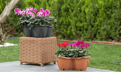 Stewart Garden Planters & Pots Stewarts Strawberry Planter 3 Pack Anthracite