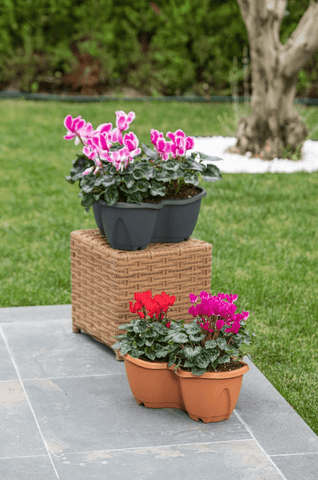 Stewart Garden Planters & Pots Stewarts Strawberry Planter 3 Pack Anthracite