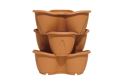 Stewart Garden Planters & Pots Stewarts Strawberry Planter 3 Pack Terracotta